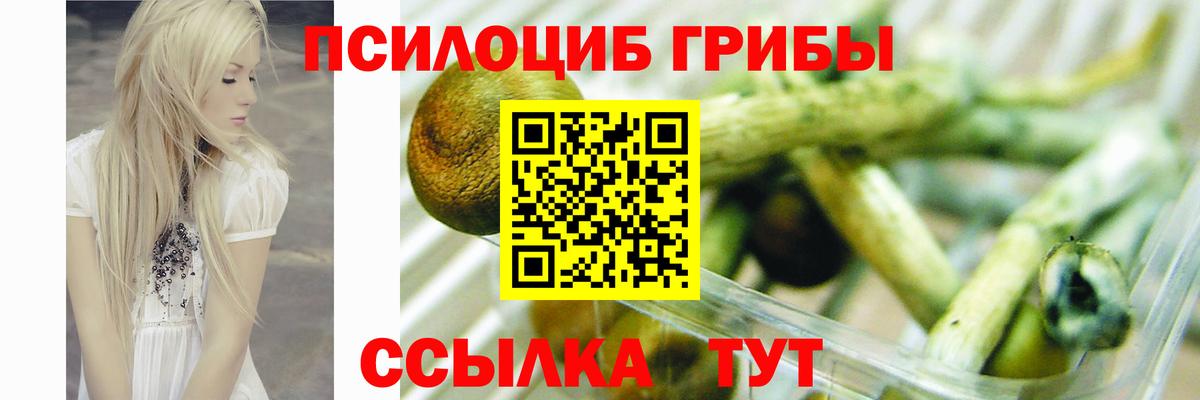 Галлюциногенные грибы GOLDEN TEACHER  Псилоцибиновые грибы Psilocybine cubensis  Лянтор  Вход с VPN 